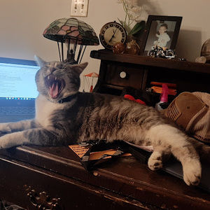 Meet your Posher, Johnny